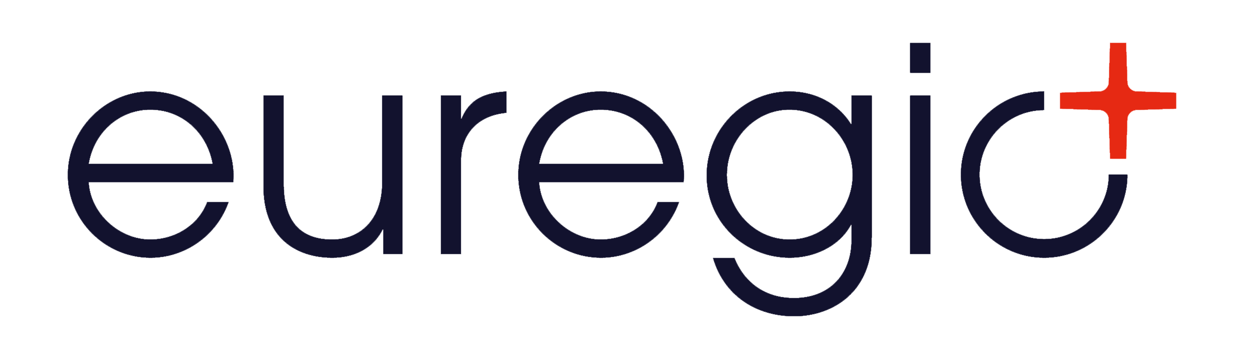 Logo Euregio